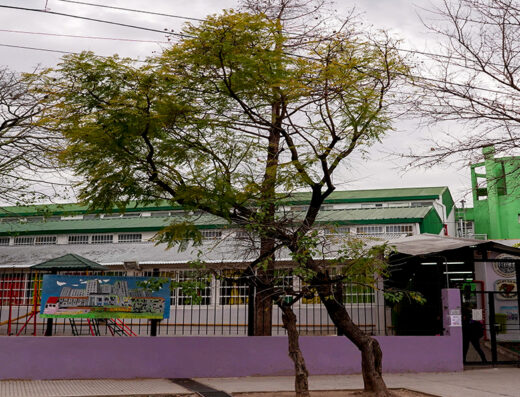 Escuela Infantil Nº 11 DE 20 - Imagen 1