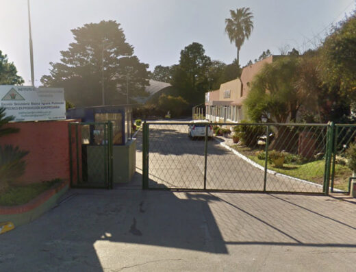 Instituto Florihorticultura y Jardín - Imagen destacada