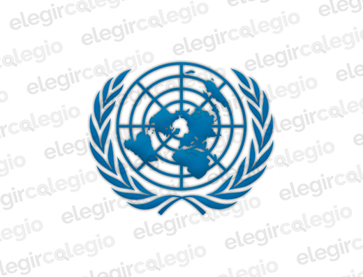 Colegio Naciones Unidas - Logo Rectangular