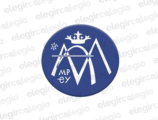 Colegio Paula Montal - Logo Rectangular