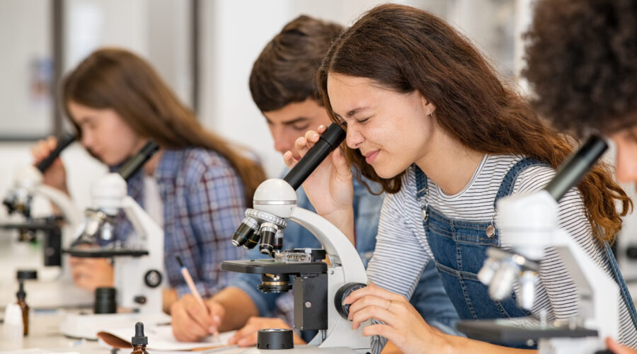 16. Consideraciones prácticas: Tipos de jornadas, actividades extracurriculares y servicios escolares