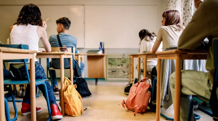 35. Identificando los Proyectos Pedagógicos de un Colegio en ElegirColegio.com